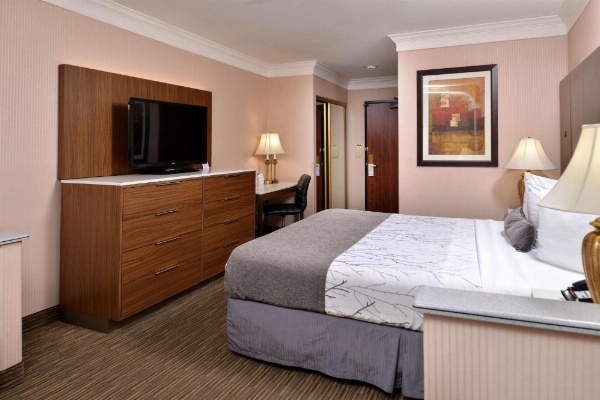 Best Western Plus Suites Hotel - Los Angeles LAX Airport image 13