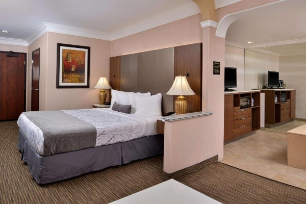 Best Western Plus Suites Hotel - Los Angeles LAX Airport image 17